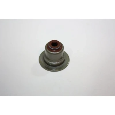 Immagine di AUTOMEGA 190005710 Gommini Valvole 10,8mm LAND ROVER: Range Rover Evoque, FORD: Ranger Mk2, Focus C Max, FIESTA 6