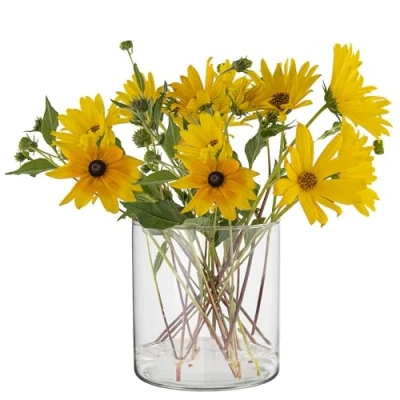 Immagine di TREND FOR HOME Vaso Vetro Trasparente A: 15 cm Cilindrico Vasi per Fiori Tulipani Tondo Decorativo da Interno Contenitori Candele ⌀ 2350 ml Calen