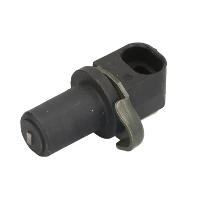 Immagine di DELPHI SS20295 Sensore ABS attivo