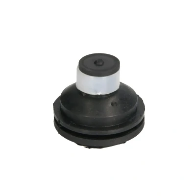 Immagine di REINHOCH RH11 2109 Supporto motore anteriore RENAULT: Kangoo I, MEGANE 2 Kombi, CLIO 1