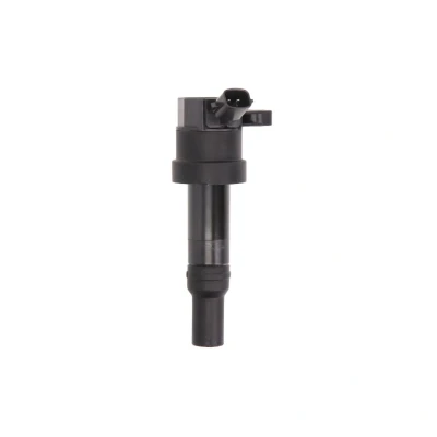 Immagine di DELPHI GN10585 12B1 Bobina d&#039;accensione 2 12 HYUNDAI: i10 II Hatchback, I, KIA: Picanto
