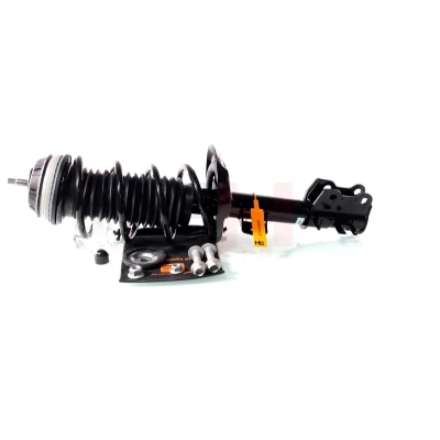 Immagine di GH 352389C06 Ammortizzatore a molla Assale anteriore, Dx, Sx, anteriore Sx OPEL: Corsa D Hatchback