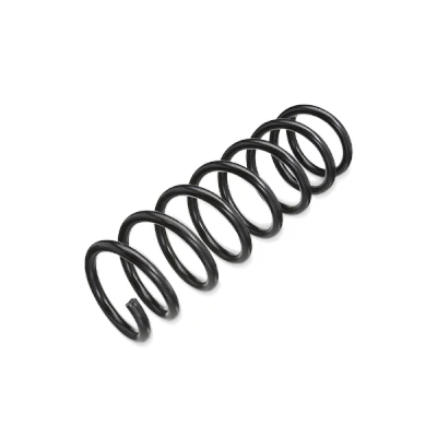 Immagine di FEBI BILSTEIN 186363 Molle ammortizzatori Assale anteriore