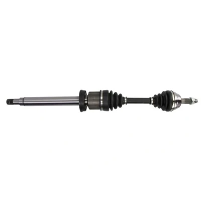 Immagine di Albero motore/Semiasse PASCAL G2G019PC