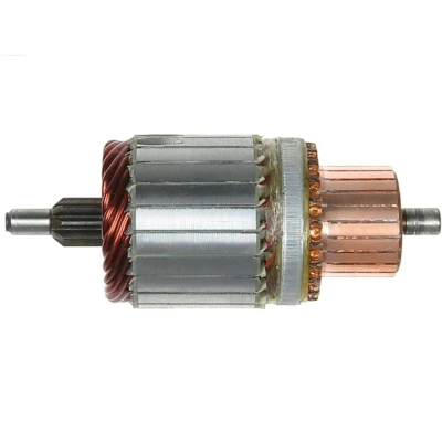 Immagine di AS PL SA9010 Ancorina, Starter