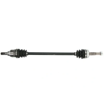 Immagine di Albero motore/Semiasse PASCAL G21034PC