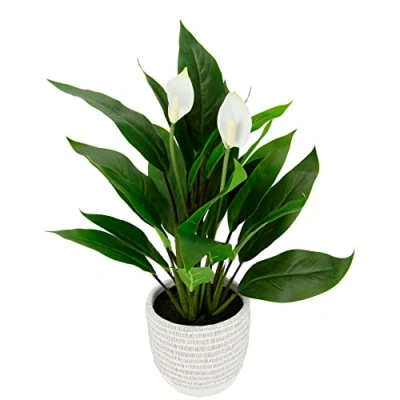 Immagine di Flair Flower pianta artificiale di spathiphyllump, in vaso, anturia, calla fenicottero, esotica con fiori bianchi, decorazione per interni