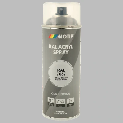 Immagine di MOTIP 955150 Veicolo Vernice combinata 12ml Spina argento CST2912