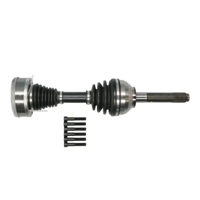 Immagine di Albero motore/Semiasse PASCAL G2H001PC