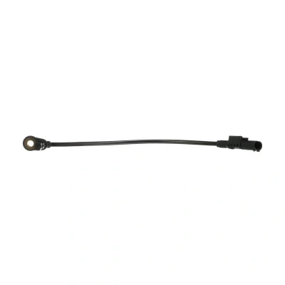 Immagine di DELPHI SS20339 Sensore ABS attivo 260 MERCEDES BENZ: Classe ML, R