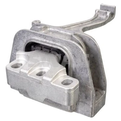 Immagine di SWAG 33 10 0572 Supporto motore Dx idraulico VOLKSWAGEN: Tiguan II, Passat B8 Variant, Allspace, SKODA: Kodiaq