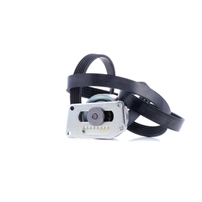 Immagine di INA 529 0216 10 Kit cinghie Poly V Controllare corsa libera generatore ed ev. sostituire PEUGEOT: 206 Hatchback, 206+ SW