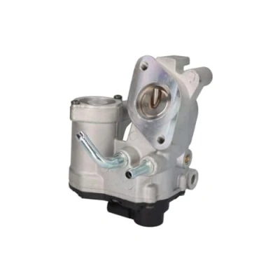 Immagine di DELPHI EG10540 12B1 Valvola EGR senza radiatore