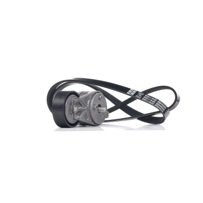 Immagine di DAYCO KPV385 Kit cinghie Poly V FIAT: Qubo, Punto Evo Hatchback, Tipo ALFA ROMEO: Giulietta MiTo, LANCIA: DELTA 3, Musa
