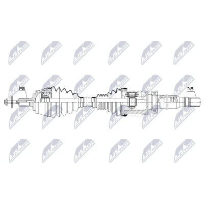 Immagine di Albero motore/Semiasse NTY NPW VV 163