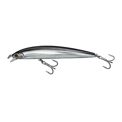 Immagine di Yo Zuri R1323 CSBL Hydro Minnow Lc, Colore, Nero Argento, 170mm 6 3/4&quot;