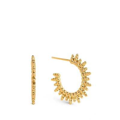 Immagine di Singularu Pebbles Orecchini, Donna, Taglia: One Size, Oro
