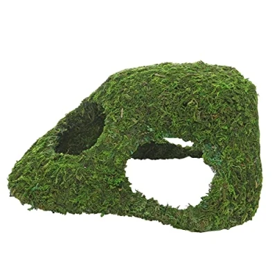 Immagine di Hobby 34606 Jungle Cave 4, 241 g
