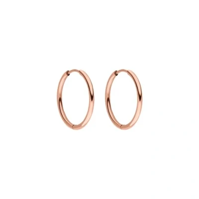 Immagine di Orecchini PURELEI® SLEEKY da donna in resistente acciaio inossidabile resistenti all&#039;acqua Diametro 15,8 mm (Oro rosa)