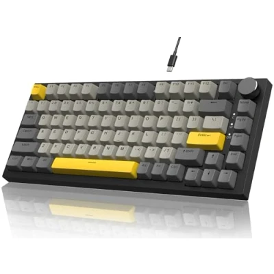Immagine di YINDIAO Ajazz AK820 Tastiera Meccanica con Manopola,Layout ANSI 75%,Tastiera da Gioco Cablata 81 Tasti,5 Schiuma Fonoassorbente,Hot swap,Interruttore Lineare,Retroilluminazione RGB,per PC,MAC(Grigio)