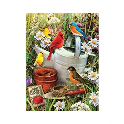 Immagine di Pracht Creatives Hobby Royal &amp; Langnickel Pittura con i Numeri Junior Uccelli, Colori e pennelli Inclusi, per Adulti Bambini dagli 8 Anni in su, Multicolore, 4670 30251