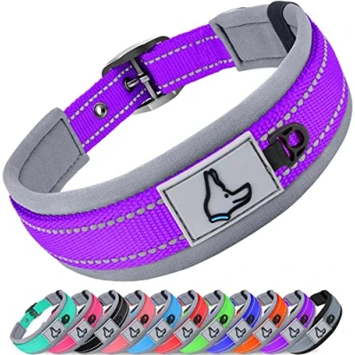 Immagine di Joytale Collare Cane, Catarifrangente Collari per Cani Regolabile con Imbottitura, Cane Taglia Piccola, Viola, S