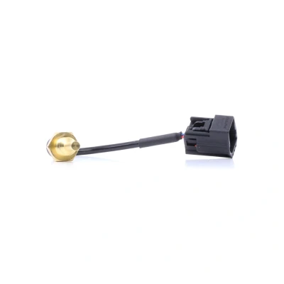 Immagine di DELPHI TS10493 Sensore Temperatura Refrigerante VOLVO: V70 2, V40 Station Wagon