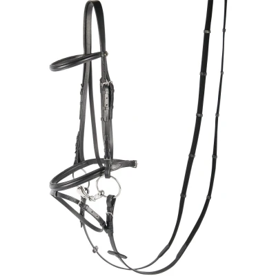 Immagine di Harry&#039;s Horse Briglia in bronzo Cob Nero