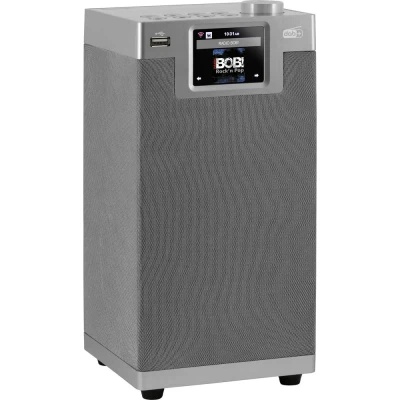 Immagine di Imperial DABMAN i610 silber Radio da tavolo DAB+, DAB, Internet, FM Bluetooth, WLAN compatibile DLNA Argento