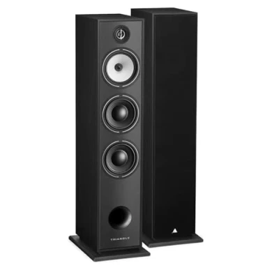 Immagine di Triangle Diffusore da pavimento Hi Fi BOREA BR08 Potenza Ammissibile 150W Sensibilità 92 dB/W/m Woofer 16 cm Versatile per Musica e Home Cinema 206 x 1020 314 mm Nero (Coppia)
