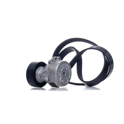 Immagine di SKF VKMA 34210 Kit cinghie Poly V FORD: Galaxy Mk2 MPV, S Max Mk1