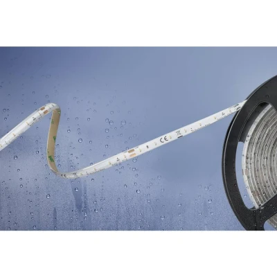 Immagine di Barthelme Basic 51540334 Striscia LED con estremità libera 24 V 5 m Bianco freddo 1 pz.