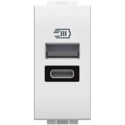 Immagine di Bticino N4191AC Caricatore USB con due ingressi tipo a e C, da installare nella placca Livinglight, per ricaricare un dispositivo elettronico fino 15W o dispositivi assieme, 1 modulo, bianco