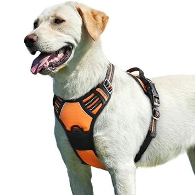 Immagine di Eagloo Pettorina Cane Taglia Grande, ad h, Antifuga Cane, Anti Tiro per Cani con Doppio Gancio, Imbracatura Robusto e Regolabile Addestramento, L, Arancio