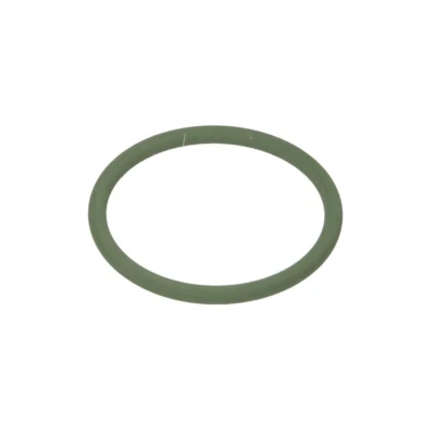 Immagine di DT Spare Parts 1.24305 Anello di tenuta