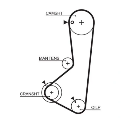 Immagine di GATES FleetRunner Micro V Stretch Fit 5256XS Cinghia Distribuzione 122 1162 24 Fibra ottica, HNBR (Nitrile Butadiene Caucciù acrilico idratato)