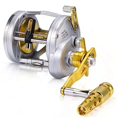 Immagine di One Bass Bobine di pesca Livello Vento Trolling Reel Convenzionale Jigging per la in acqua salata Big Game (TA5000)