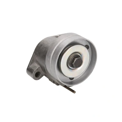Immagine di BTA E3X0006BTA Rullo Tendicinghia OPEL: Corsa B Hatchback