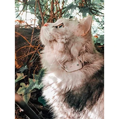 Immagine di Girafus/Localizzatore Gatto/Senza Abbonamento/Localizzazione con onda Radio non GPS/Localizza Anche all&#039;interno Come in Cantine e Garage/Tracciatore Cane, Gatto Raggio 500m