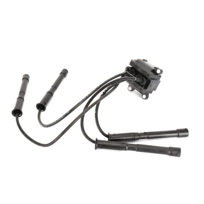 Immagine di MAGNETI MARELLI 060717055012 Bobina d&#039;accensione RENAULT: CLIO 2, Kangoo I, TWINGO 1