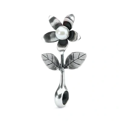 Immagine di Trollbeads Distanziatore per Charm Donna argento TAGBE 00228