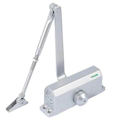 Immagine di PALMAT regolabile automatico idraulico Chiudiporta (80 120 Kg, Argento)