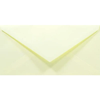 Immagine di Netuno 100 buste da lettera colorate lunghe crema carta colorata formato DL 110 x 220 mm Rainbow 80g americane con lembo a punta