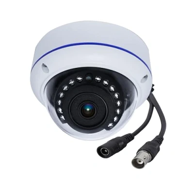 Immagine di DCSEC Telecamera 180 gradi grandangolare Di Sicurezza mini dome analogica 1080P 2MP 4 In 1 TVI/CVI/AHD/CVBS 33Ft IR Visione Notturna Sistema Sorveglianza Per Interni