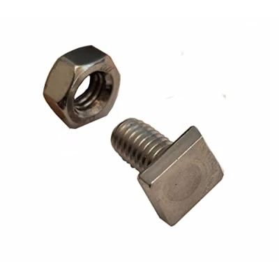 Immagine di GAO Flora 50 viti per serra quadrate in acciaio inox a testa piatta M6 x 12 accessori