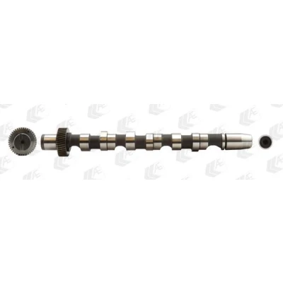 Immagine di AE CAM700 Albero a Camme per cilindro 1 3, Entrata AUDI: A4 B6 Avant, A6 C5 Avant