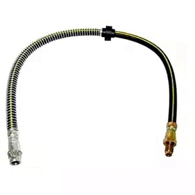 Immagine di DELPHI LH6126 Tubi Freno 552 M10x1 Int SF