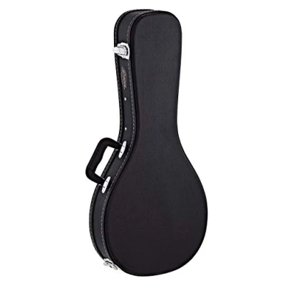 Immagine di Ortega OMCSTD A Economy Case For Mandolin Style