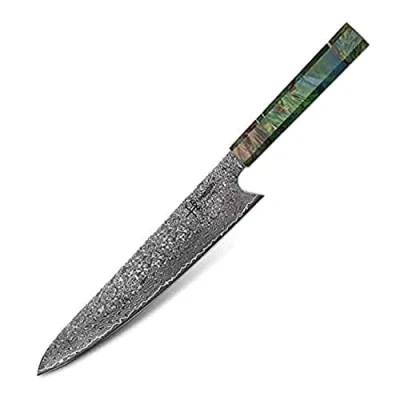 Immagine di hajegato Coltello da cuoco Damasco Unico nel suo genere Manico professionale giapponese Coltelli cucina professionali VG10 di alta qualità 67 strati (Gyuto Knife 10&quot;)