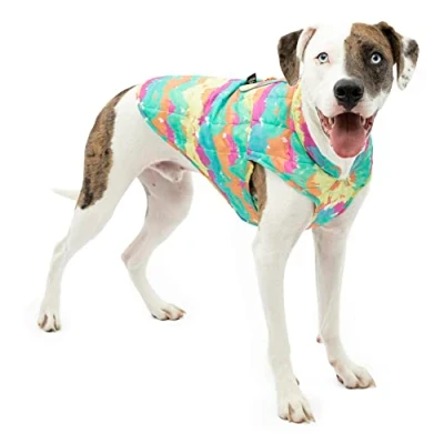 Immagine di Kurgo Loft Giacca invernale per cani, reversibile, riflettente, da indossare con imbracatura, resistente all&#039;acqua, animali domestici di taglia piccola, media e grande (strisce acquerello, M)